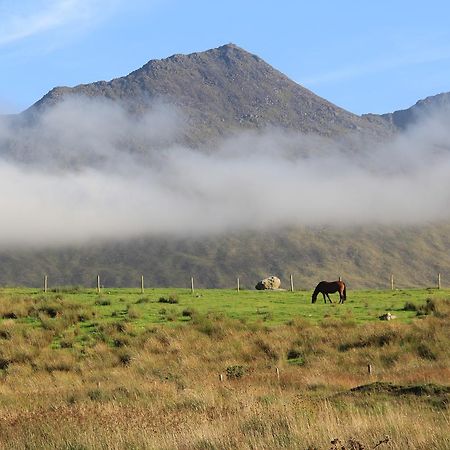 The Reeks Cottage Cill Airne Kültér fotó